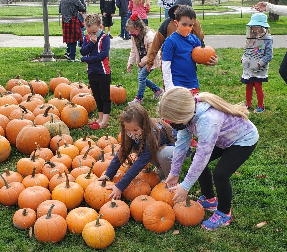Pumpkin Delivery to Waitsburg Elementary!